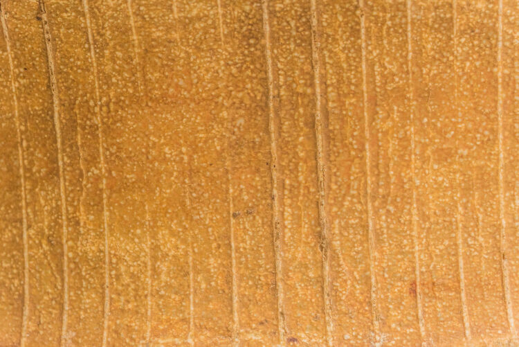 Beaufort d'été – Image 4