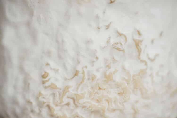 Chaource Mons Fromager Affineur
